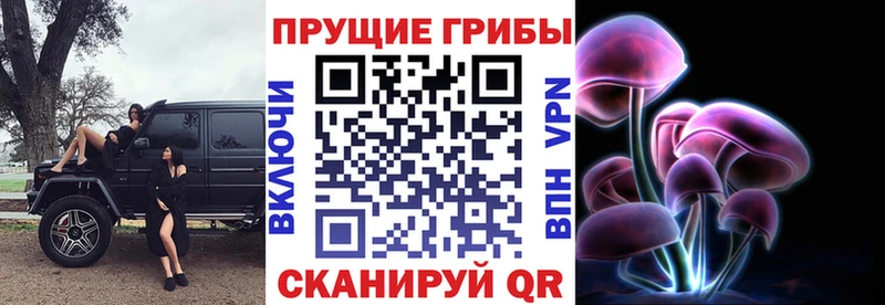 цена наркотик  Южно-Сахалинск  Галлюциногенные грибы мицелий 